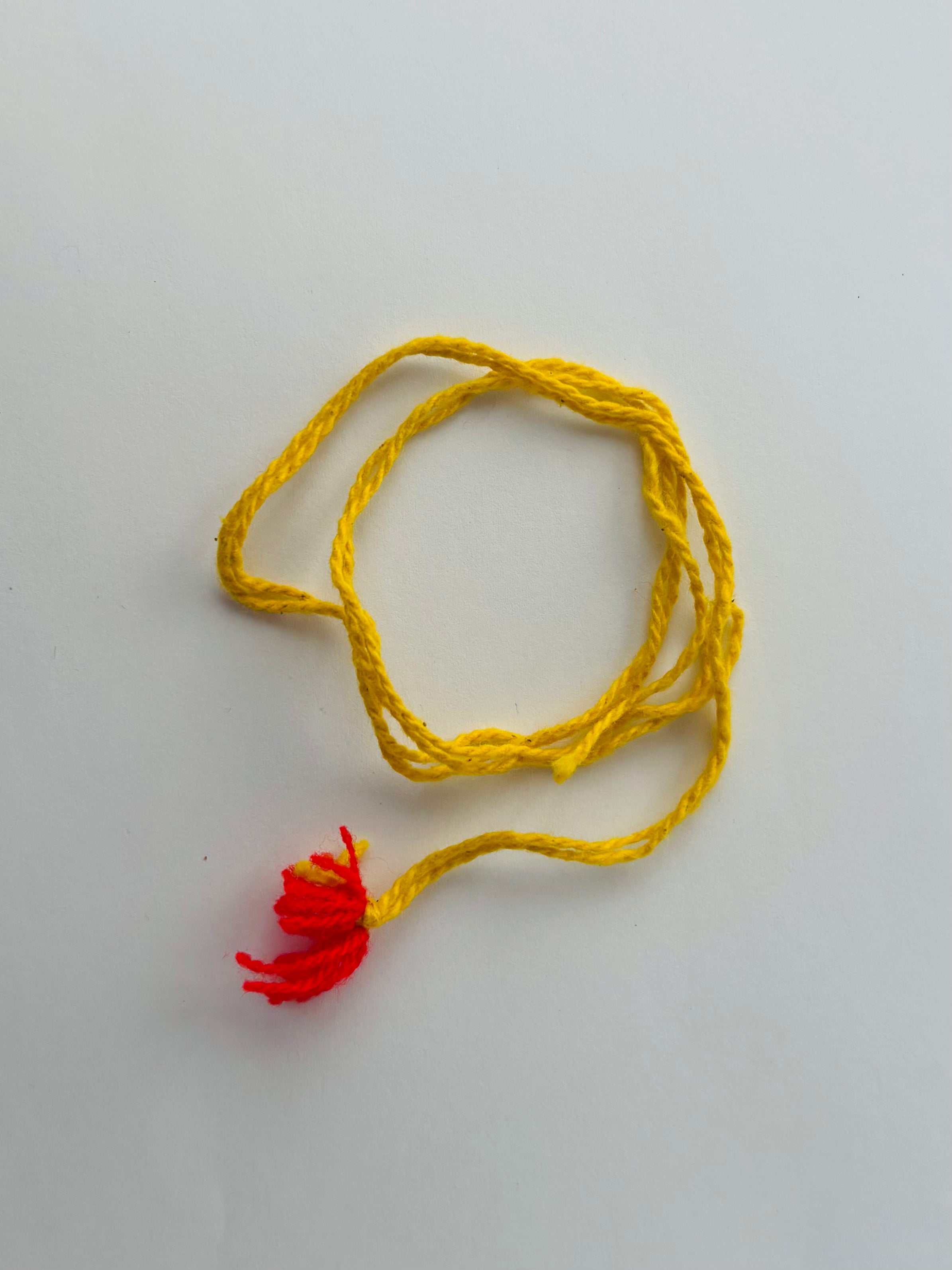 Bhagwan Rakhi
